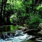 Arroyo de la ventilla