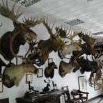 Museo de la Caza