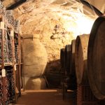 Museo del Vino